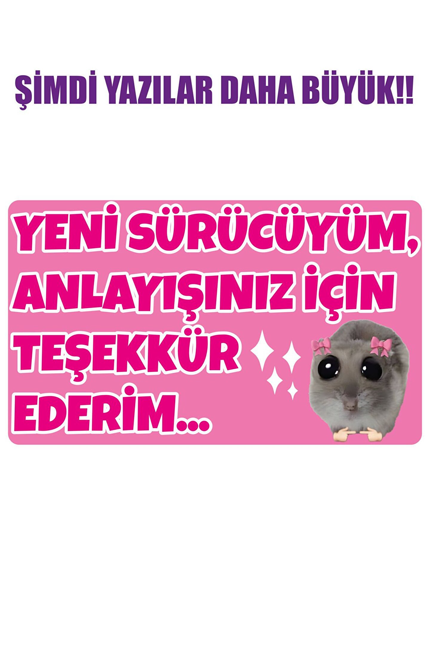Acemi Sürücü Yeni Sürücü Sticker 22x13 Cm Su Geçirmez Sticker Araba Motor Duvar Cam Etiket Sticker