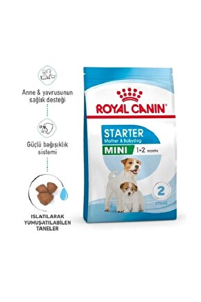 Mini Starter Mother&Babydog Küçük Irk Yavru Köpek Maması 4kg Puppy Dog Food