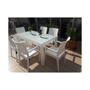 80X140 Camlı Masa 6 Sandalye 6 Minder 1 Sehpa Rattan Takım