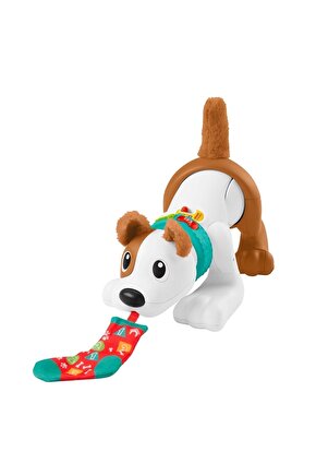 Emeklemeyi Ve Saymayı Öğreten Köpekçik