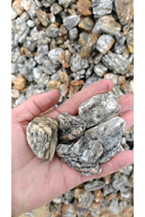 Gnays Tamburlu 5kg 2-4 Doğal Dekoratif Peyzaj Dolamit Granit Bordo Süs Taşı