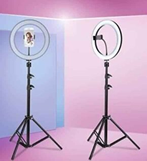 Kuaför Makyaj Çekimleri Selfie Işığı Sürekli 14 inç Işık 2m Stand