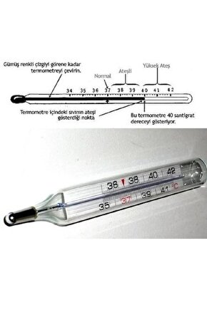 Civa İçermeyen Beden Derecesi