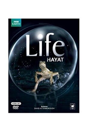 Hayat  Life 4 Dvd