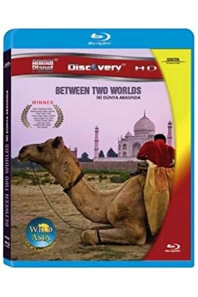 Between Two Worlds -İki Dünya Arasında -  Blu-Ray Disc