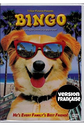 Bingo Kahraman Köpek Bingo Dvd