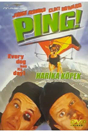 Ping - Harika Köpek