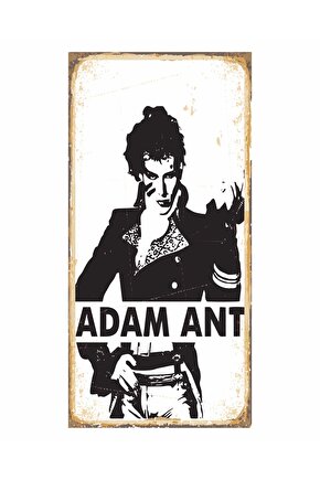 pop rock müzik efsanesi adam ant müzik ev dekorayon tablo mini retro ahşap poster