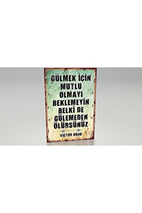 motivasyon sözleri Victor Hugo özlü sözler duvar yazıları retro ahşap poster