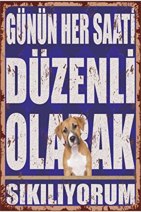 Günün Her Saati Düzenli Olarak Sıkılıyorum Komik Duvar Yazıları Retro Ahşap Poster