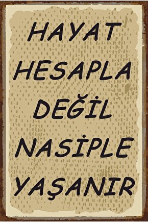 Hayat Nasiple Yaşanır Duvar Yazıları Retro Ahşap Poster