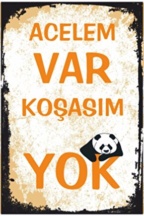 Acelem Var Koşasım Yok Panda Retro Ahşap Poster