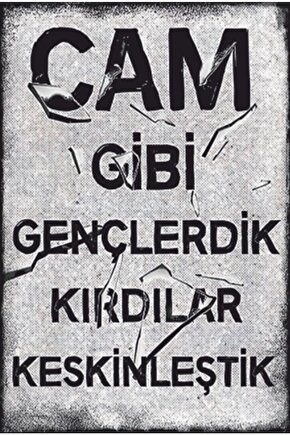 Cam Gibi Gençlerdik Duvar Yazıları Retro Ahşap Poster