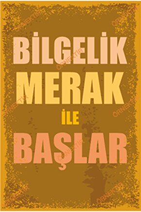 Bilgelik Merak Ile Başlar Duvar Yazıları Retro Ahşap Poster