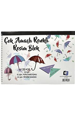 Çok Amaçlı Blok Resim Defteri 25x35 120gr. Alx-0589