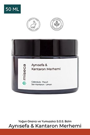 Aynısefa & Kantaron Merhemi 50 ml Yoğun Onarıcı Bakım Balmı