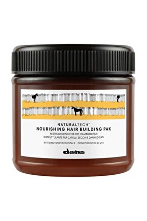 Nourishing Hair Pak Yıpranmış Kuru Saç Maskesi 250 Ml