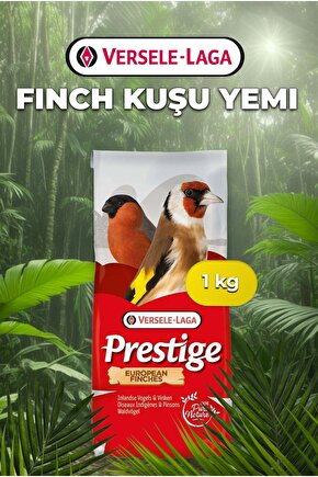 European Finches Finch Yemi 1 Kg