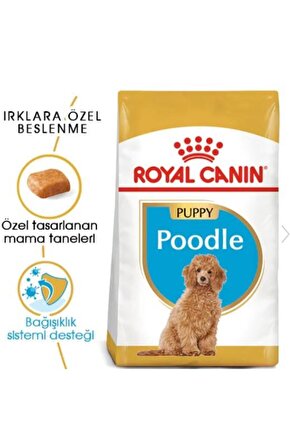 Dog Bhn Poodle Junior Köpek Maması 3 Kg