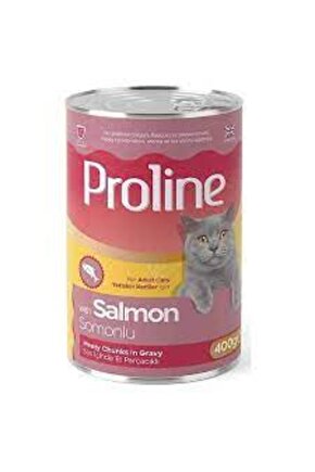 PROLİNE SOMONLU KEDİ KONSERVESİ 395 GR