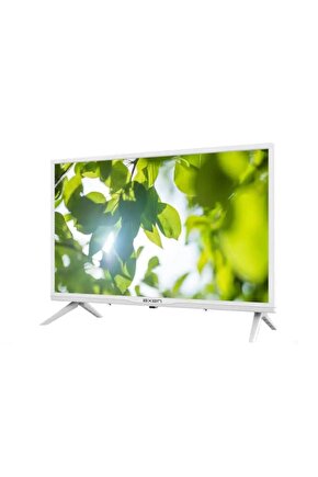 24 İnç 60 Ekran HD Ready Uydulu TV Beyaz AX24LED09-B