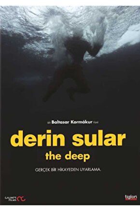 The Deep Derin Sular