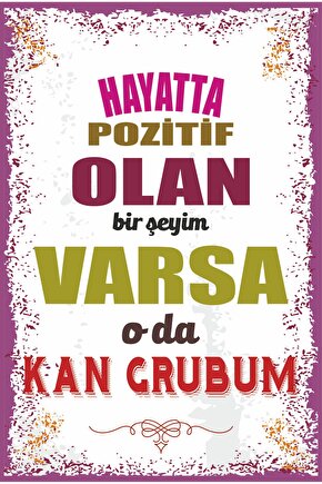 duvar yazıları hayatta pozitif olan bir şeyim varsa o da kan grubum retro ahşap poster 793