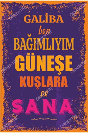 Galiba Ben Bağımlıyım Güneşe Kuşlara Ve Sana Duvar Yazıları Retro Ahşap Poster