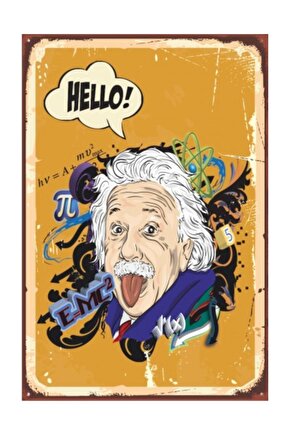 Einstein  Retro Vintage Ahşap Poster