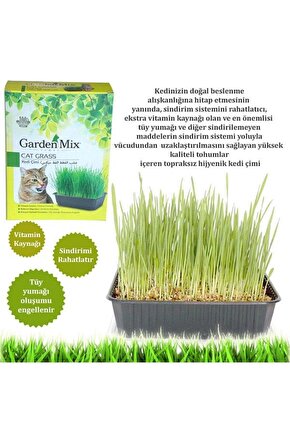 Garden Mix Kedi Çimi - Petshopundan