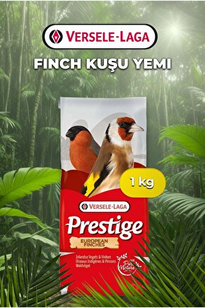 European Finches Finch Yemi 1 Kg