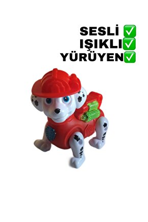 Paw Patrol Müzikli Işıklı Hareketli Yürüyen Marshall Sevimli Köpek Oyuncak Pawpatrol2023