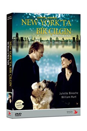 Dvd New Yorkta Bir Çılgın   Un Divan A New York