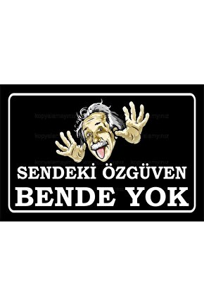 albert einstein bilim cahil cesareti komik atarlı sözler duvar yazıları retro ahşap poster tablo