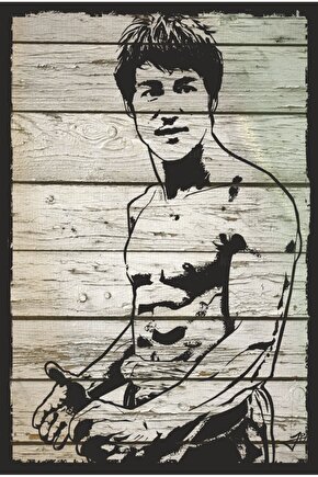 bruce lee karate tekvando judo spor ev dekorasyon tablo retro ahşap poster