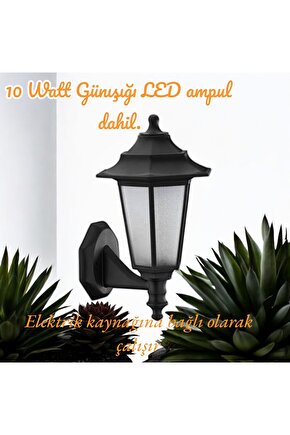 10 W. Günışığı LED Ampullü, Dekoratif Bahçe, Balkon, Teras, Kapı Giriş Apliği, Bahçe Duvar Armatürü