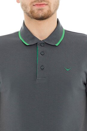 Erkek Lacost Çizgili Polo Yaka T-shirt