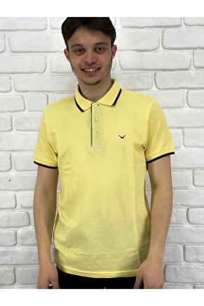 Erkek Lacost Çizgili Polo Yaka T-shirt Czdr