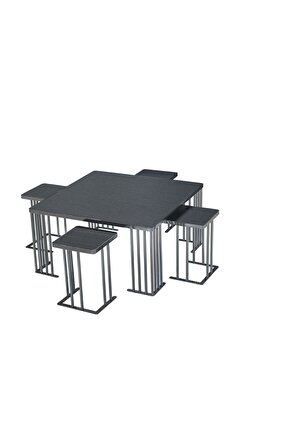 Ultra Lüx 4+1 Orta Sehpa Ve Zigonlar Ultra Lak Kaplama Paslanmaz Kararmaz Çelik Hıghglass Yüzey