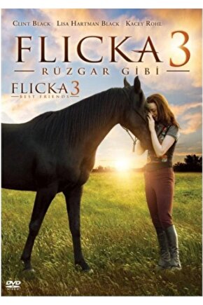 Flicka 3 Rüzgar Gibi