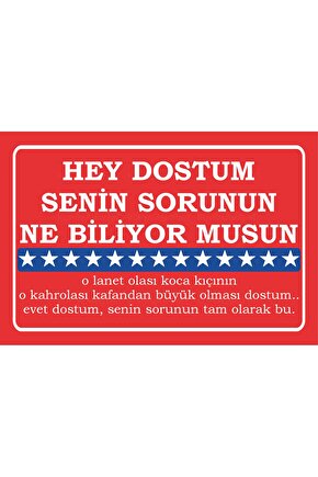 dostum senin sorunun ne biliyor musun amerikan filmleri meşhur replikler duvar yazıları ahşap poster