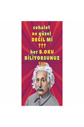 einstein komik sözler duvar yazıları ev dekorasyon tablo mini retro ahşap poster