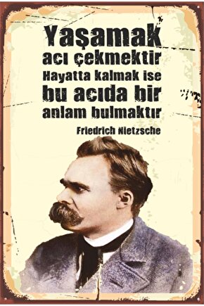 Nietzsche Şiir Edebiyat Retro Ahşap Poster