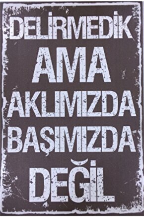 Delirmedik Ama Komik Sözler Duvar Yazıları Retro Ahşap Poster