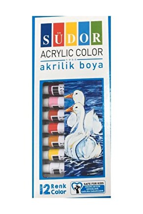 Akrilik Boya Tüp 12x9 ml