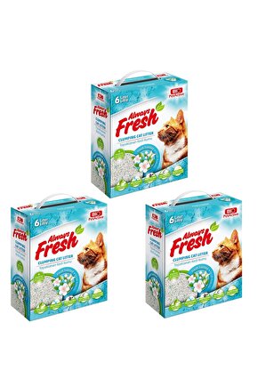 Ferah Kokulu Topaklanan Kedi Kumu 6 lt x 3 Adet | Always Fresh