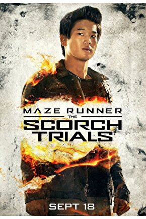 Maze Runner The Scorch Trials (2015) 5 ( FOLYO ) - AFİŞ - POSTER-4528