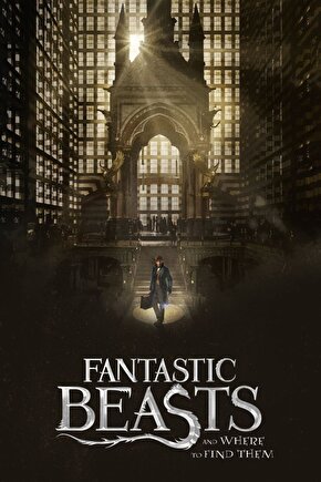 Fantastic Beasts and Where to Find Them (2016) 2 ( FOLYO ) - AFİŞ - POSTER-2770