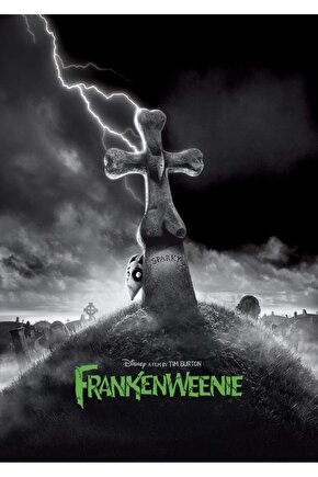 Frankenweenie (2012) ( FOLYO ) - AFİŞ - POSTER-2911