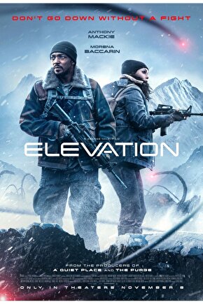 Elevation (2024) 0001 ( FOLYO ) - AFİŞ - POSTER-2661